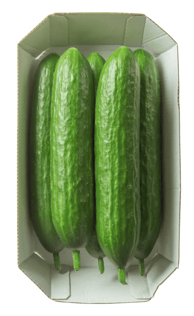 Продукт