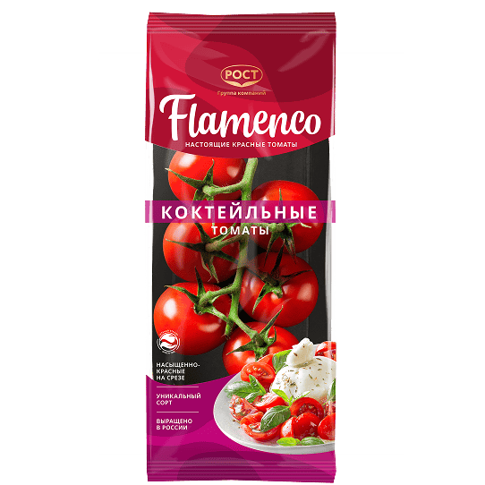 flamenco