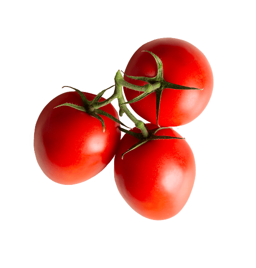 Продукт